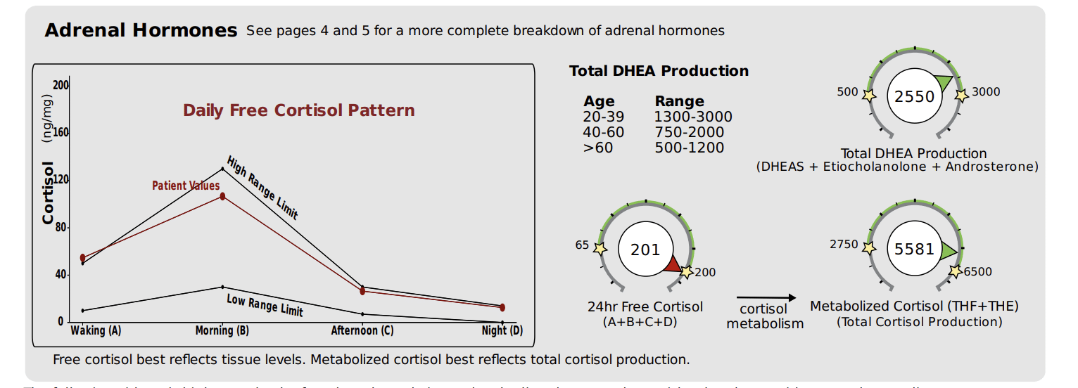 High Cortisol & Hair Loss - Dutch Test Sample Results