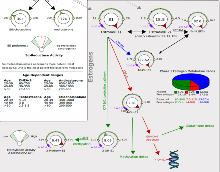 Estrogen Dominance The Good, Bad & Ugly of Estrogen Metabolites